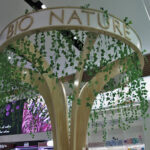 Perfumerías Laguna Experience Valencia – Opiniones y Reseña