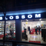 Blossom – Opiniones y Reseña